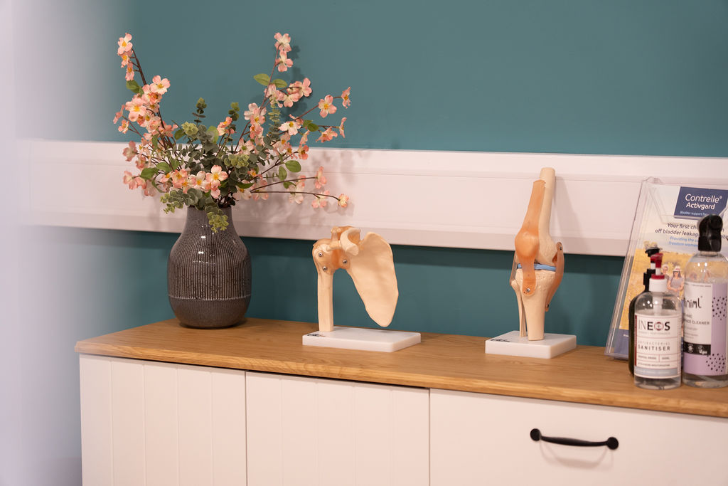 Anatomy models and treatment supplies at the Physio Health Hub clinic