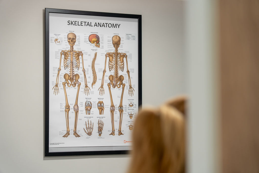 Anatomy chart on the wall of the Physio Health Hub clinic